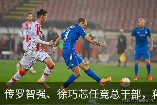 传罗智强、徐巧芯任竞总干部，蒋万安：“台北队”就是团体作战