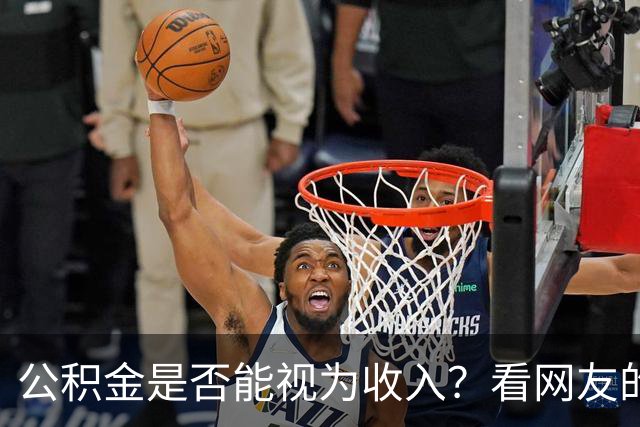 公积金是否能视为收入？看网友的评论:引起万千共鸣