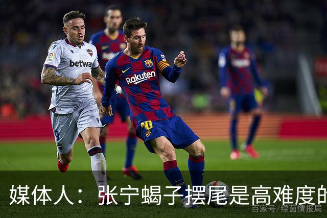 媒体人：张宁蝎子摆尾是高难度的武术技击动作 对篮球裁判有些超纲