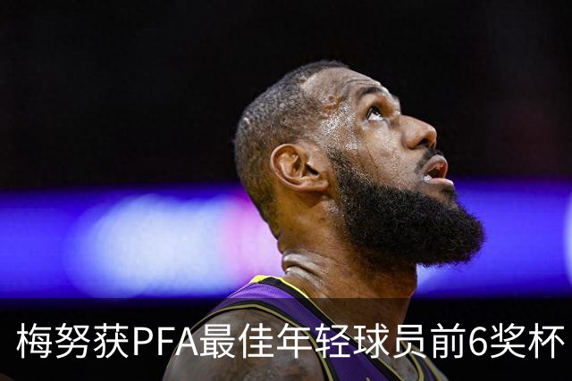 梅努获PFA最佳年轻球员前6奖杯