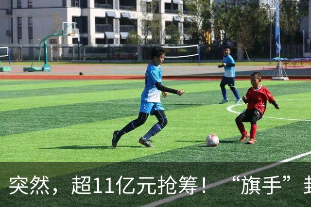 突然，超11亿元抢筹！“旗手”封死涨停，发生了什么？
