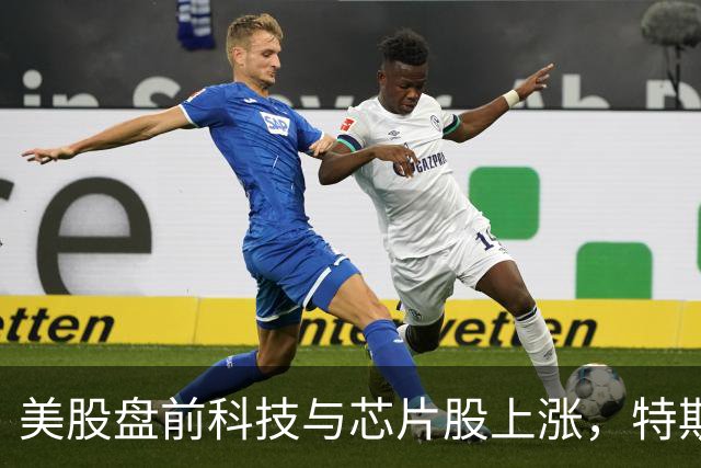 美股盘前科技与芯片股上涨，特斯拉、SK海力士涨超2%