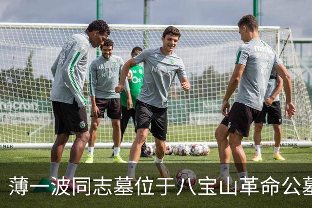 薄一波同志墓位于八宝山革命公墓，墓前常年鲜花簇拥萦绕