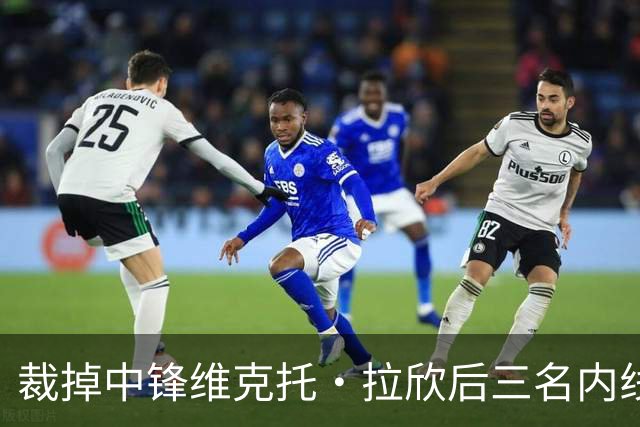 裁掉中锋维克托·拉欣后三名内线受伤 国王又与其签下训练营合同