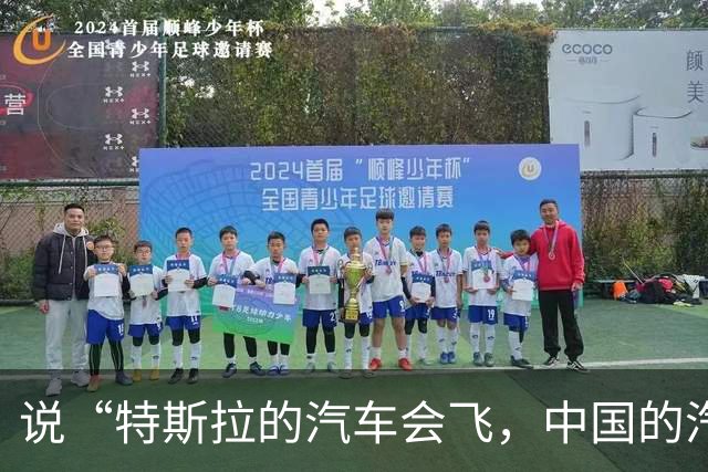 说“特斯拉的汽车会飞，中国的汽车刹车踏板会断”的人，不是蠢，就是坏