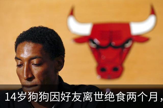 14岁狗狗因好友离世绝食两个月，主人急坏了，特地准备了一顿烤肉，没想到剧情直接反转！